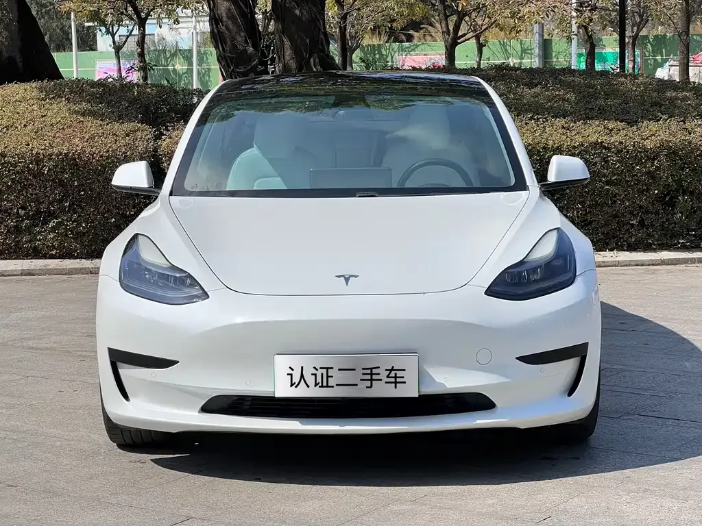 Tesla Model 3 2021 из CN, фото 10