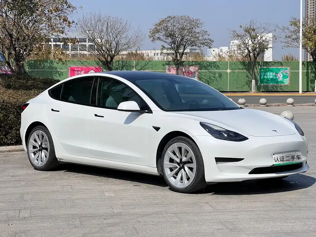 Tesla Model 3 2021 из CN, фото 8