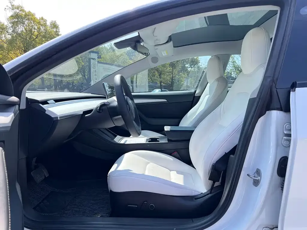 Tesla Model 3 2021 из CN, фото 2