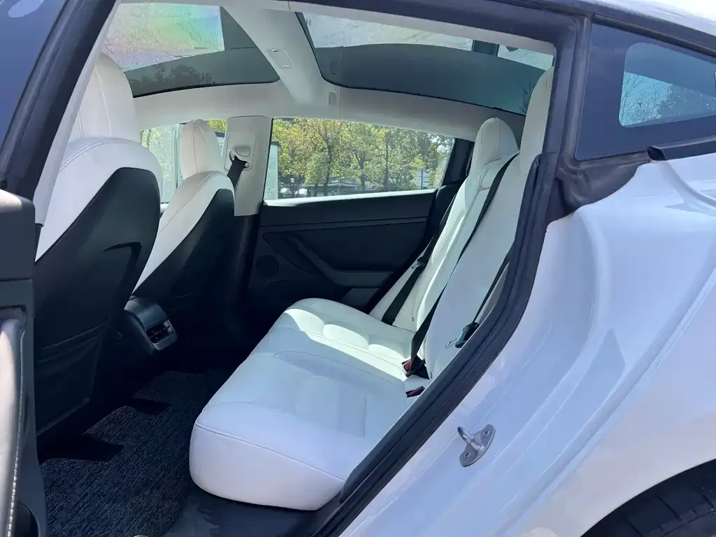 Tesla Model 3 2021 из CN, фото 5