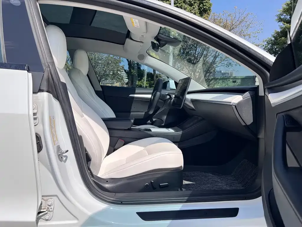 Tesla Model 3 2021 из CN, фото 9