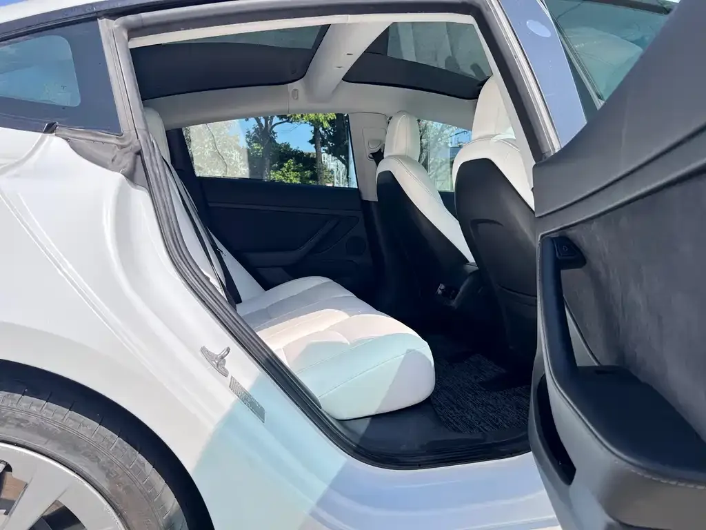 Tesla Model 3 2021 из CN, фото 4