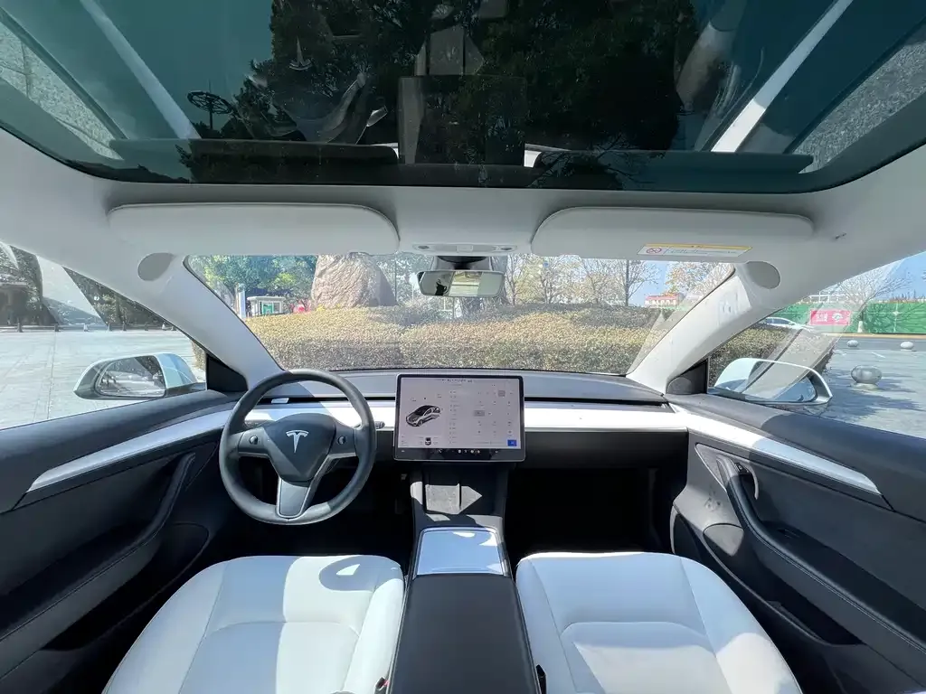 Tesla Model 3 2021 из CN, фото 3