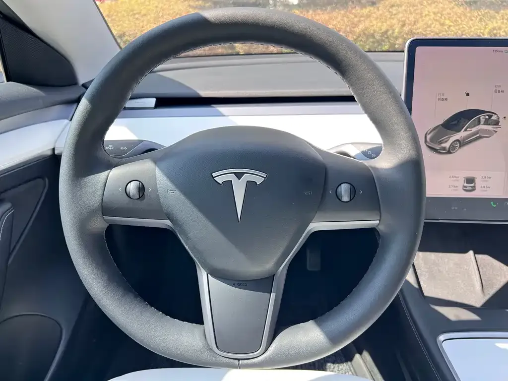 Tesla Model 3 2021 из CN, фото 6