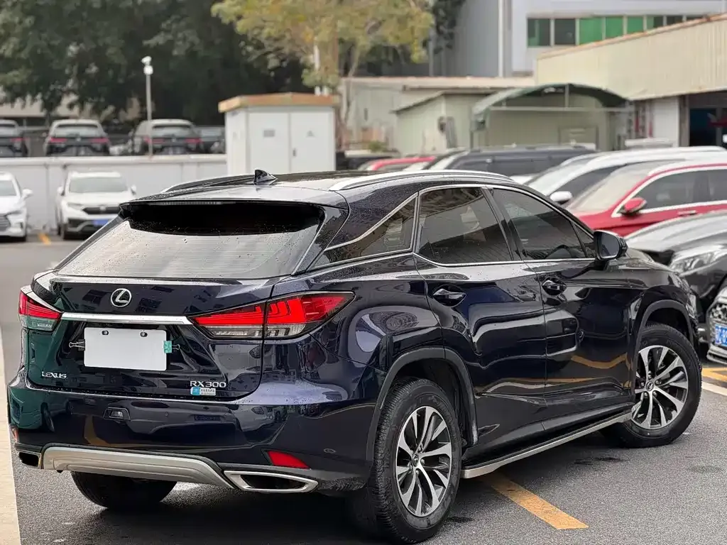 Lexus RX — фото 9