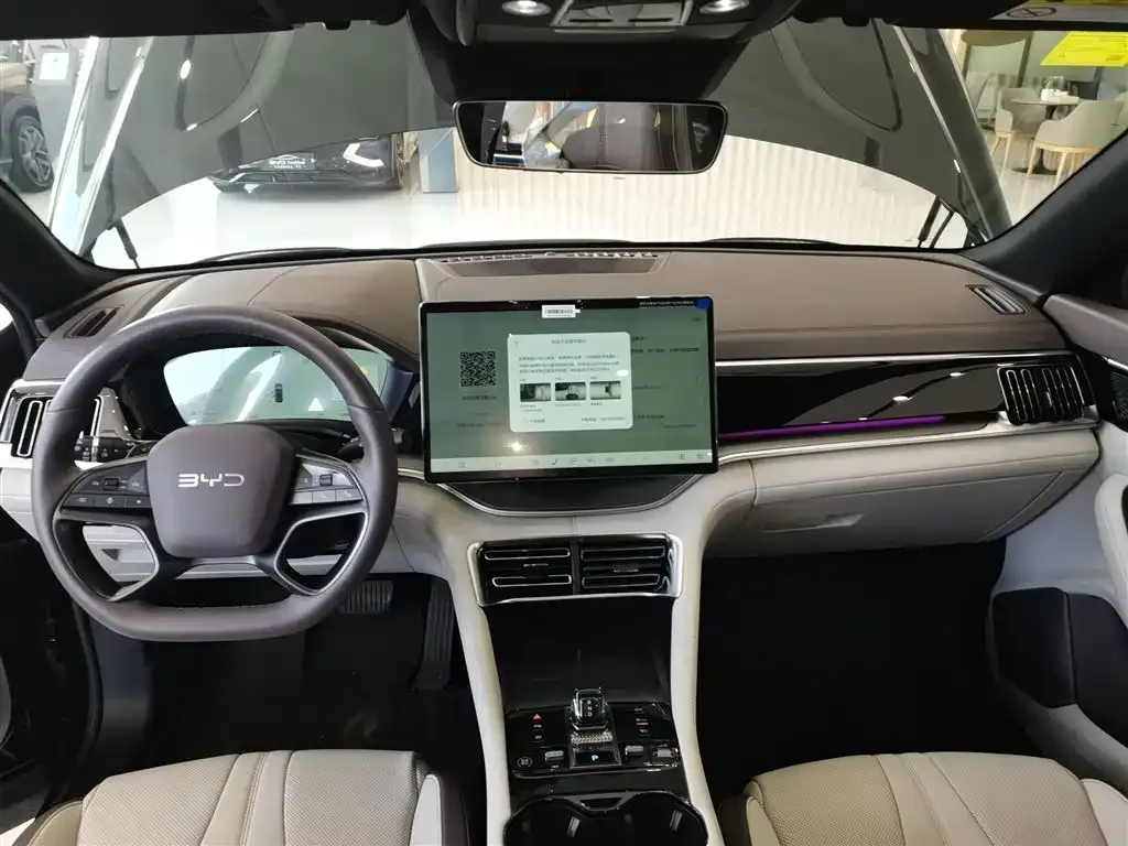 BYD PLUS New Energy 2025 из CN, фото 5