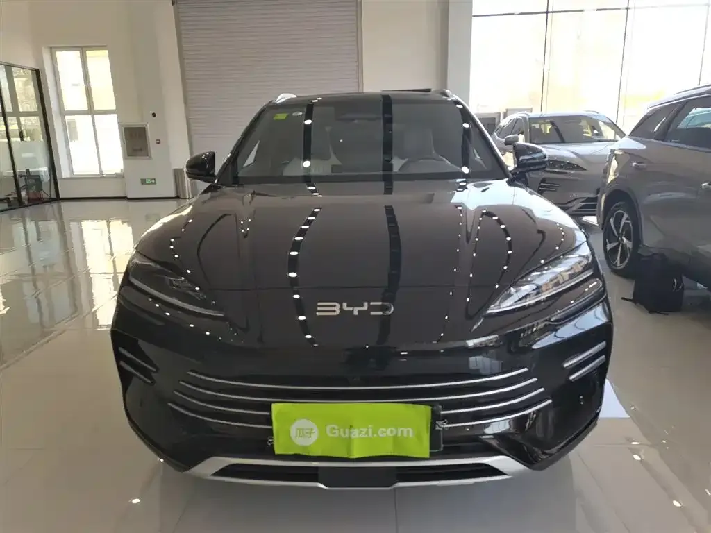 BYD PLUS New Energy 2025 из CN, фото 2