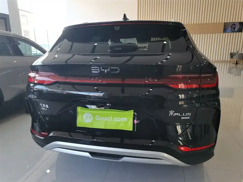 BYD PLUS New Energy 2025 из CN, фото 6