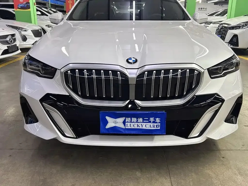 BMW 5 Series 2025 из CN, фото 9