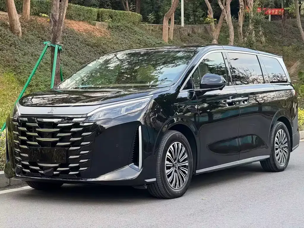 BYD Xia 2025 из CN, фото 1