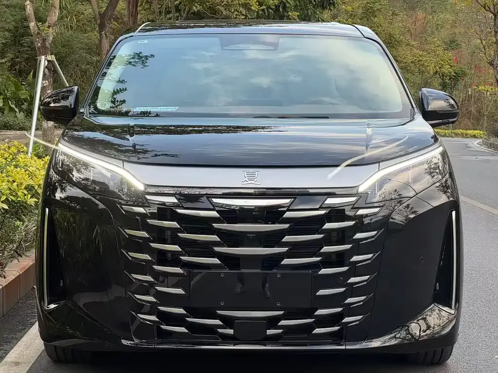BYD Xia 2025 из CN, фото 2