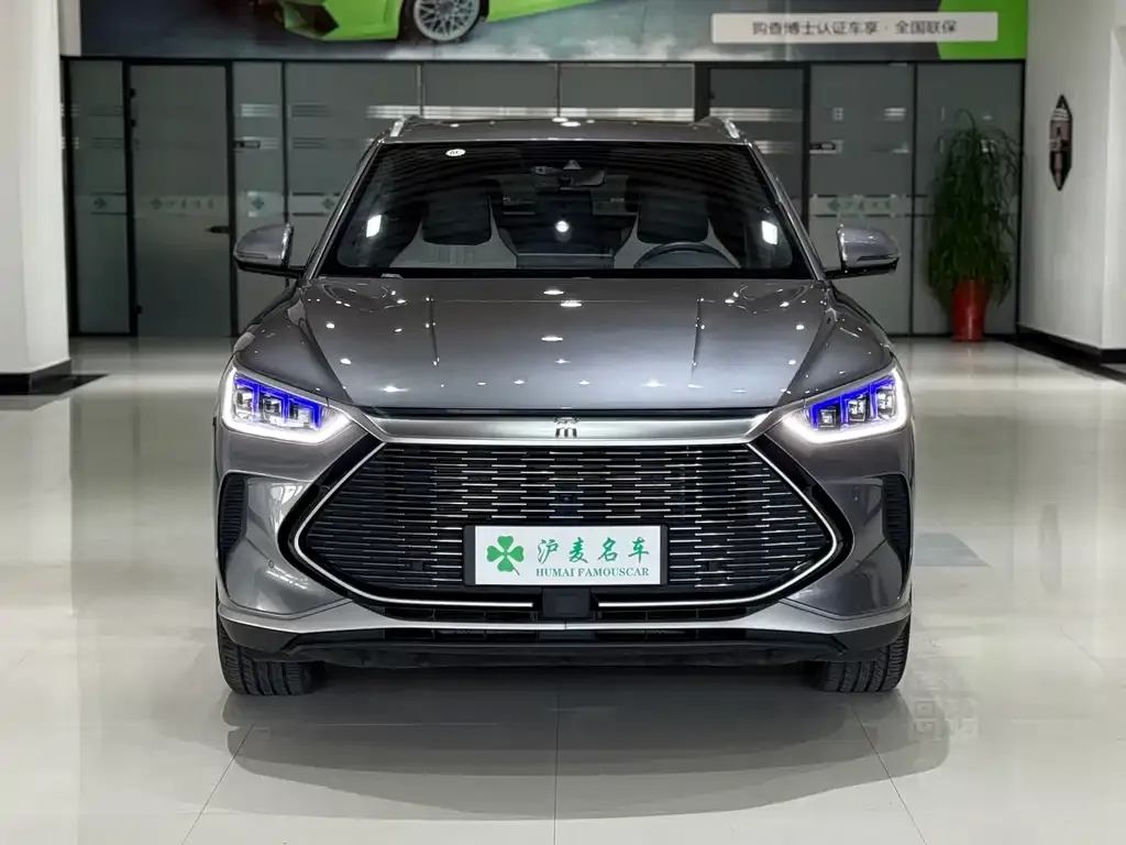 BYD PLUS New Energy 2022 из CN, фото 3