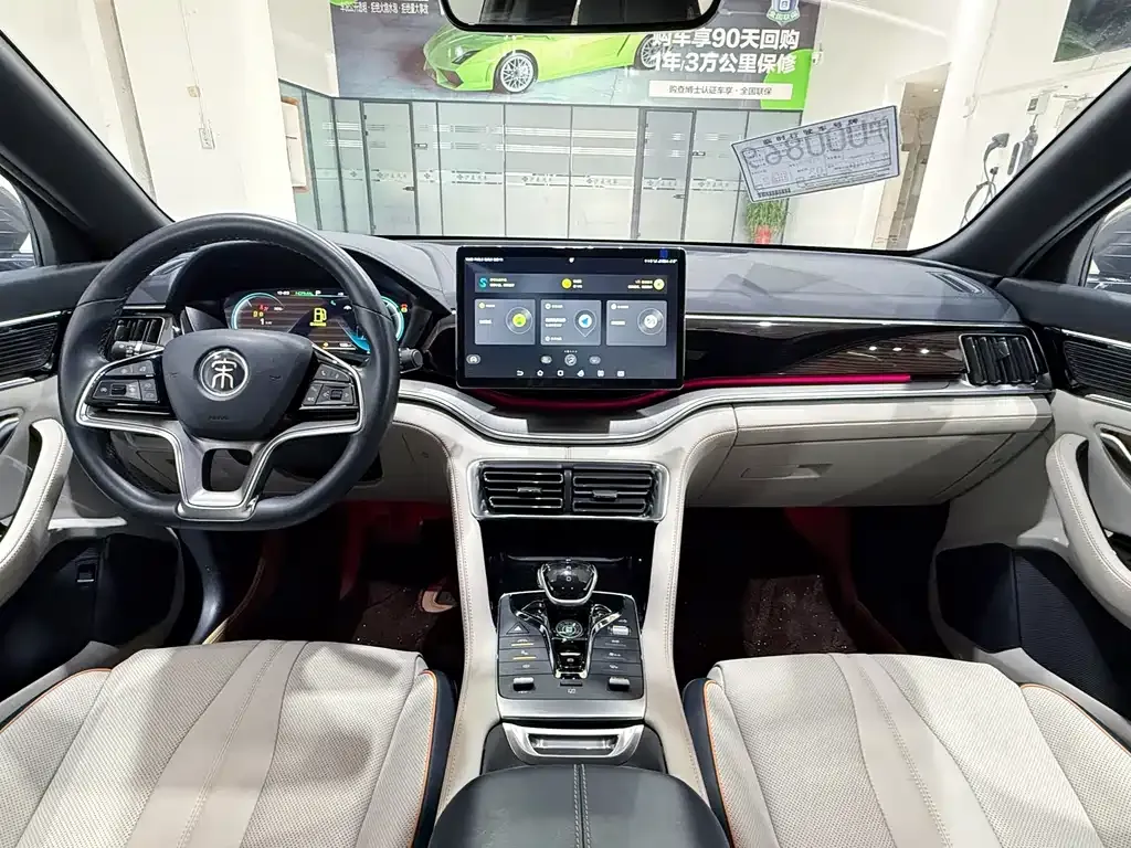 BYD PLUS New Energy 2022 из CN, фото 7