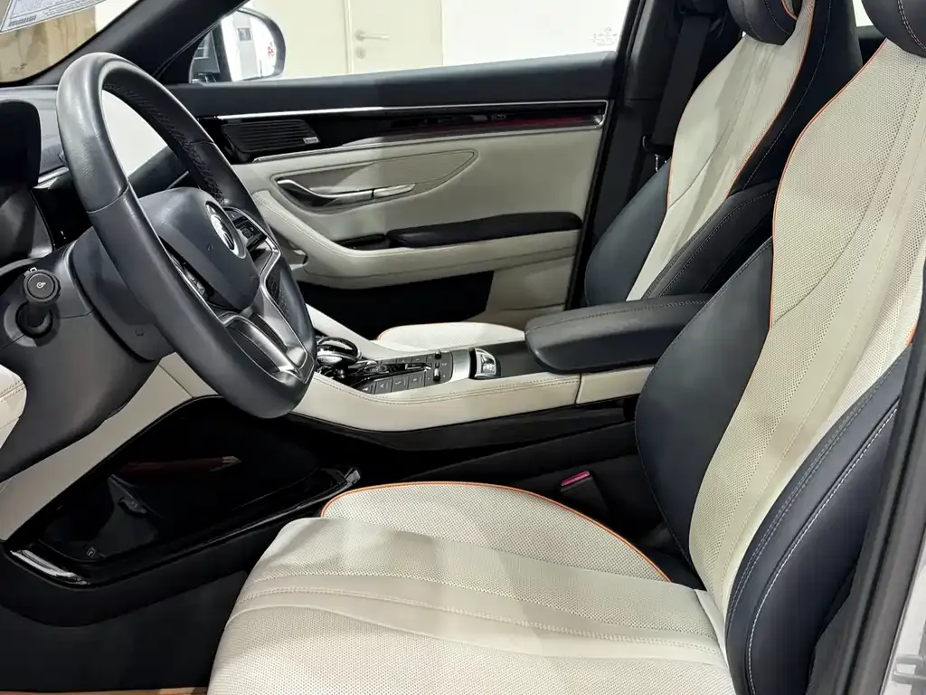 BYD PLUS New Energy 2022 из CN, фото 6