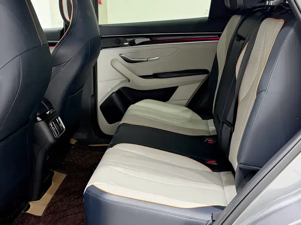 BYD PLUS New Energy 2022 из CN, фото 5
