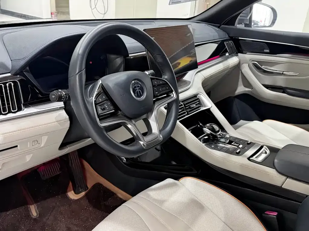 BYD PLUS New Energy 2022 из CN, фото 4