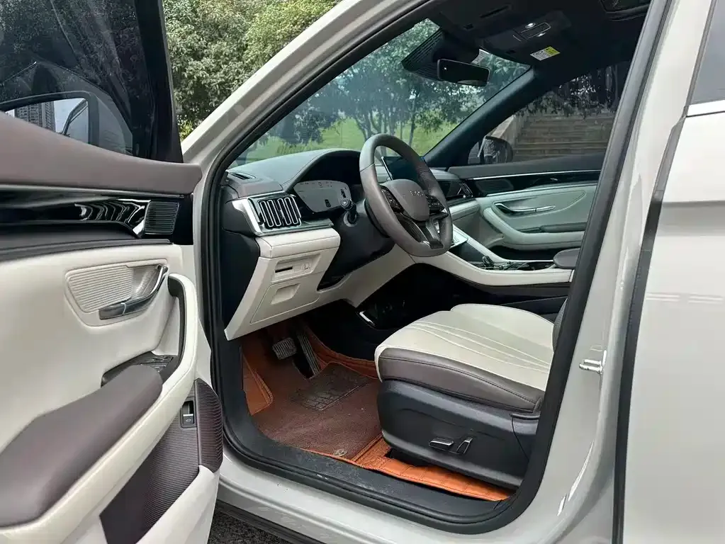 BYD PLUS New Energy 2025 из CN, фото 3