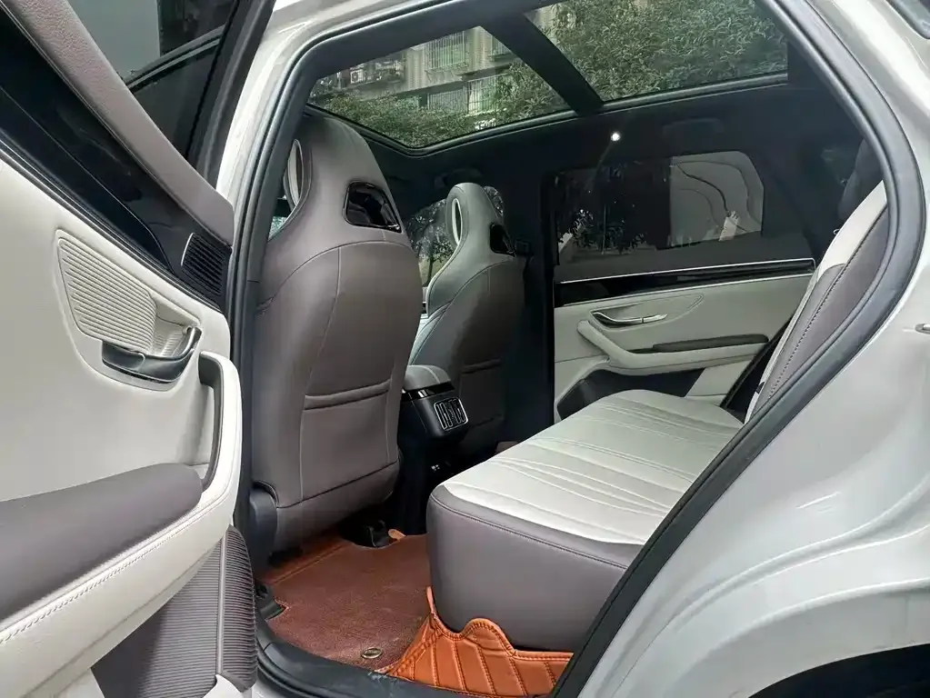 BYD PLUS New Energy 2025 из CN, фото 2