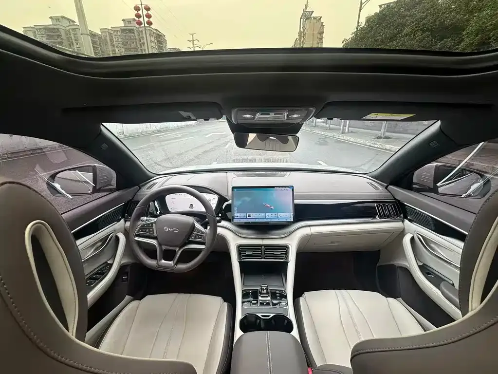 BYD PLUS New Energy 2025 из CN, фото 5