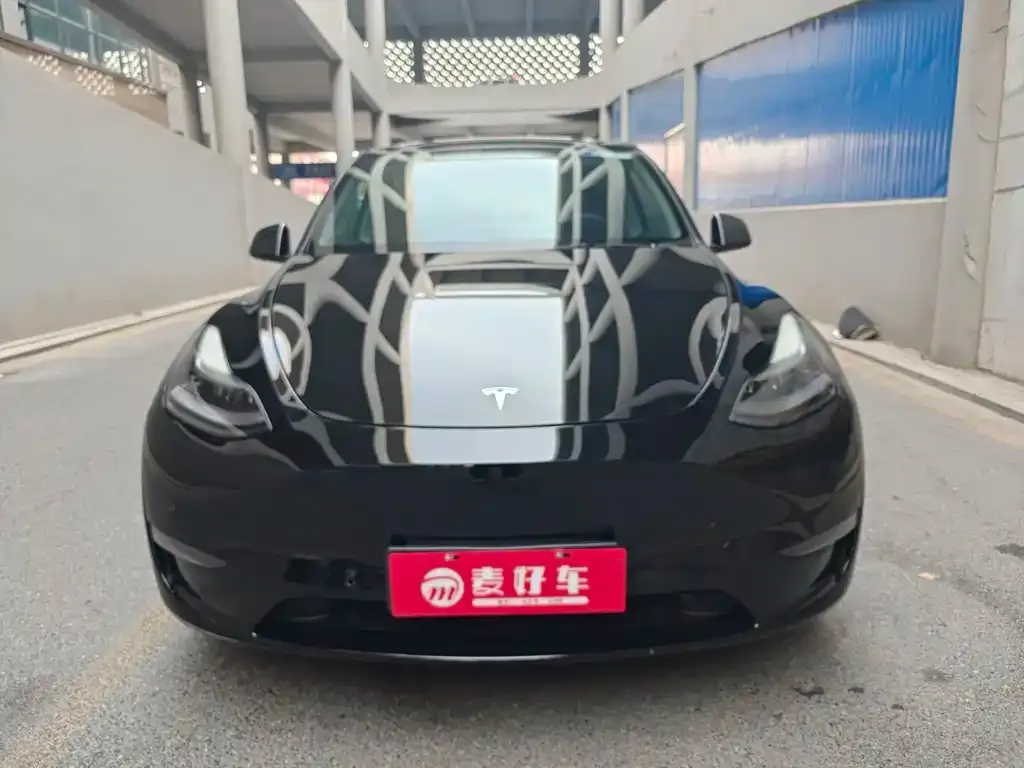Tesla Model Y — фото 2