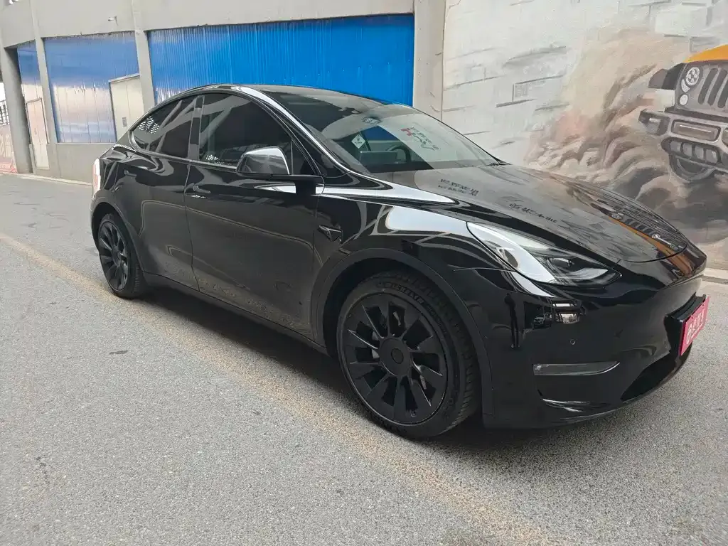 Tesla Model Y — фото 8