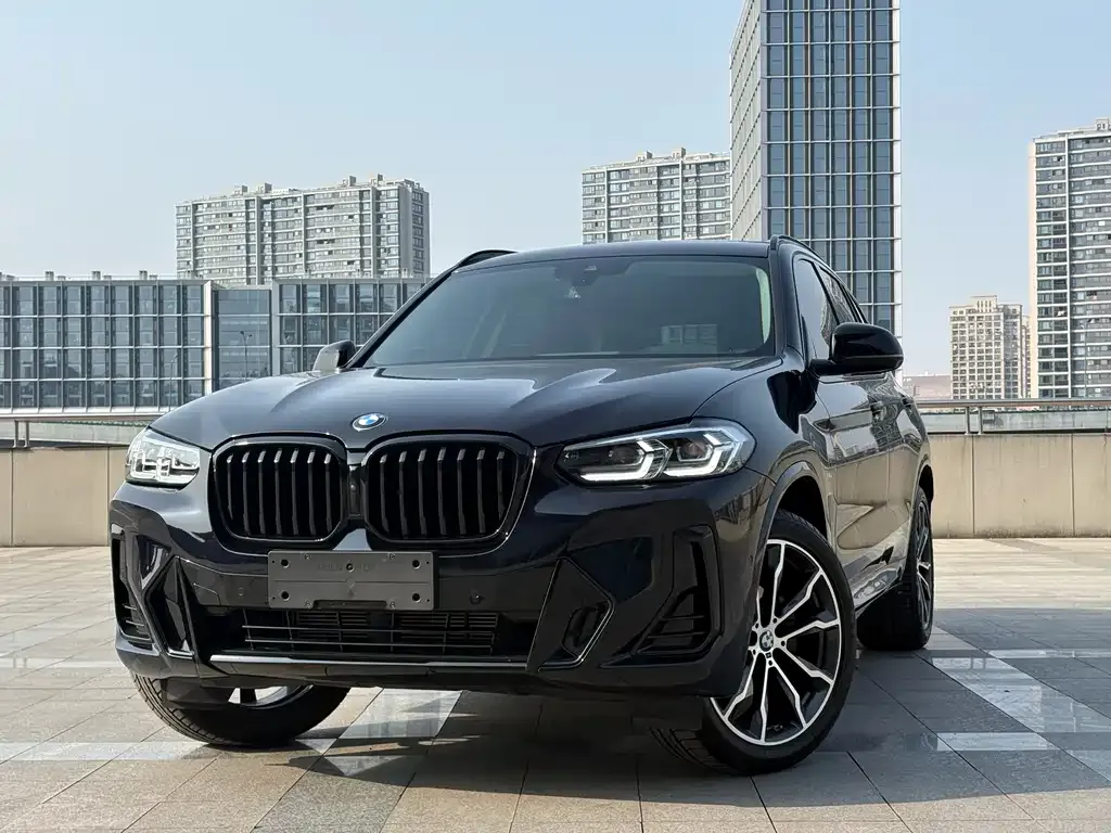 BMW X3 2024 из CN, фото 6
