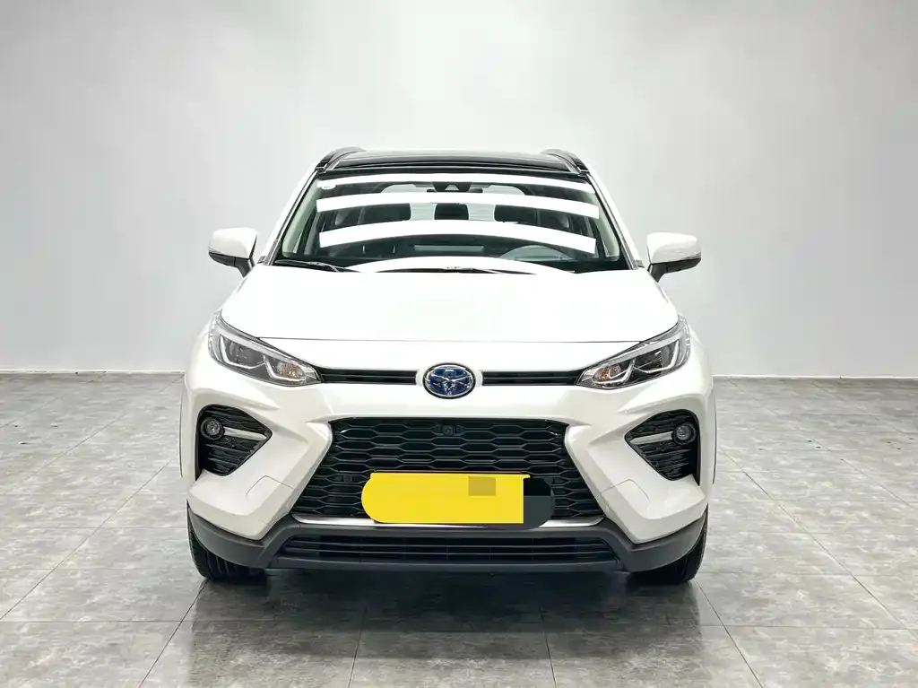 Toyota Wildlander 2023 из CN, фото 9