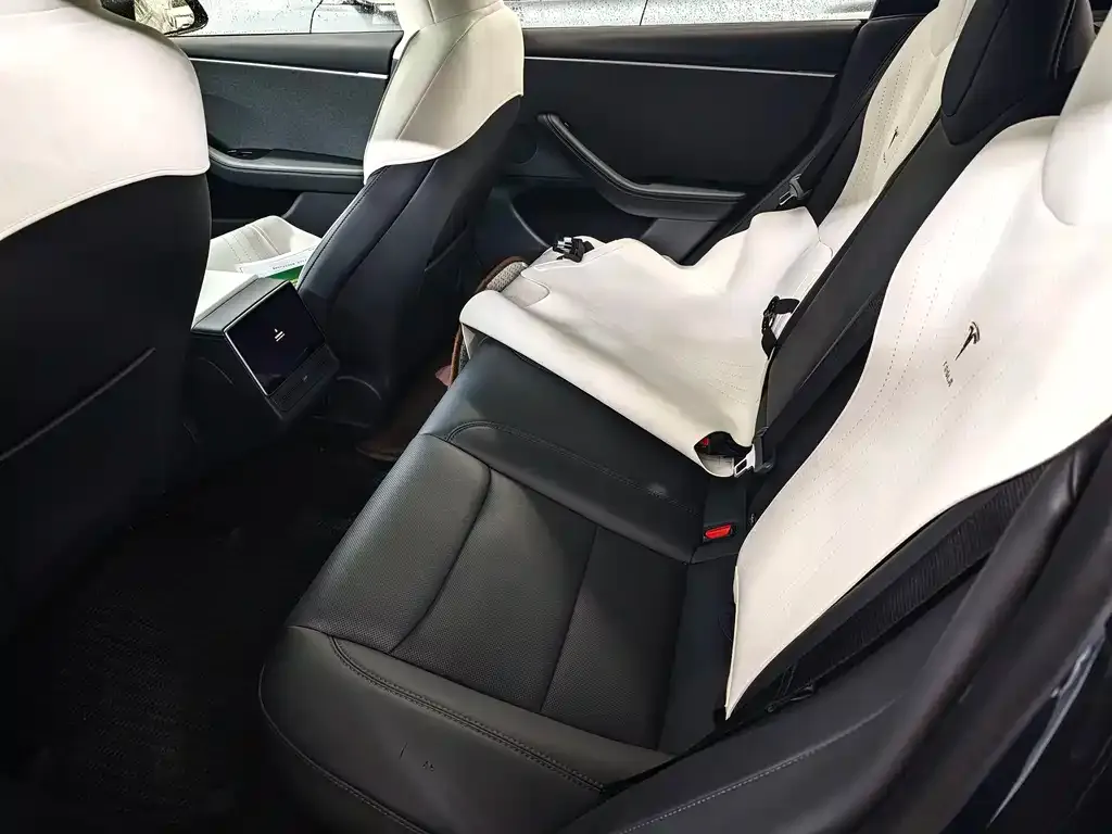 Tesla Model 3 2024 из CN, фото 2