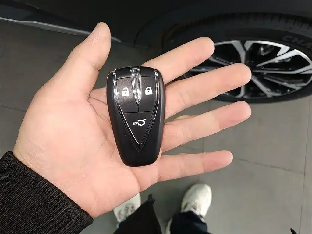 Changan CS55PLUS PHEV 2025 из CN, фото 3