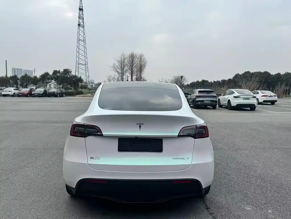 Tesla Model Y — фото 4