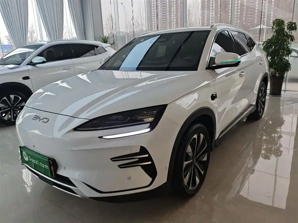 BYD PLUS New Energy 2025 из CN, фото 1