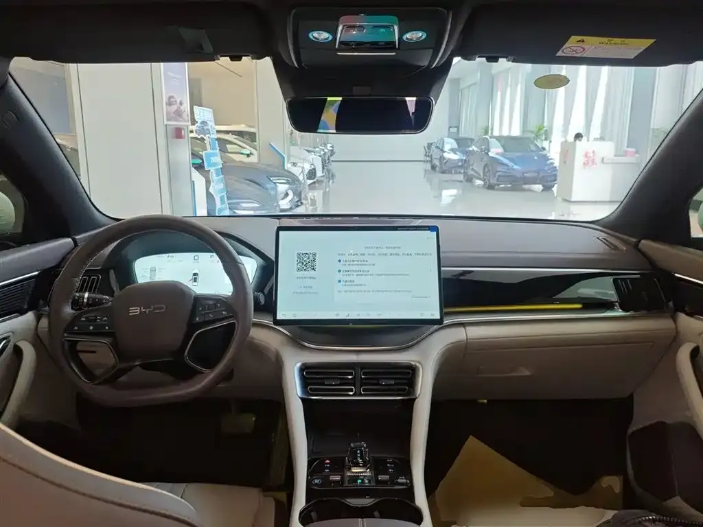 BYD PLUS New Energy 2025 из CN, фото 8