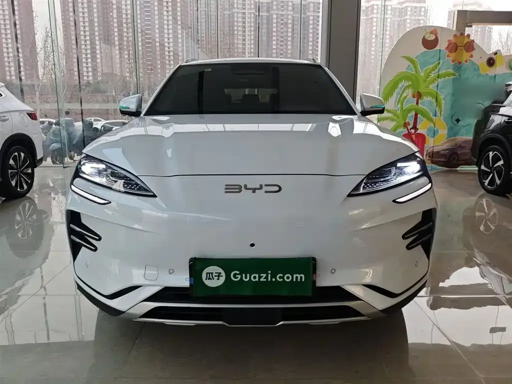 BYD PLUS New Energy 2025 из CN, фото 9