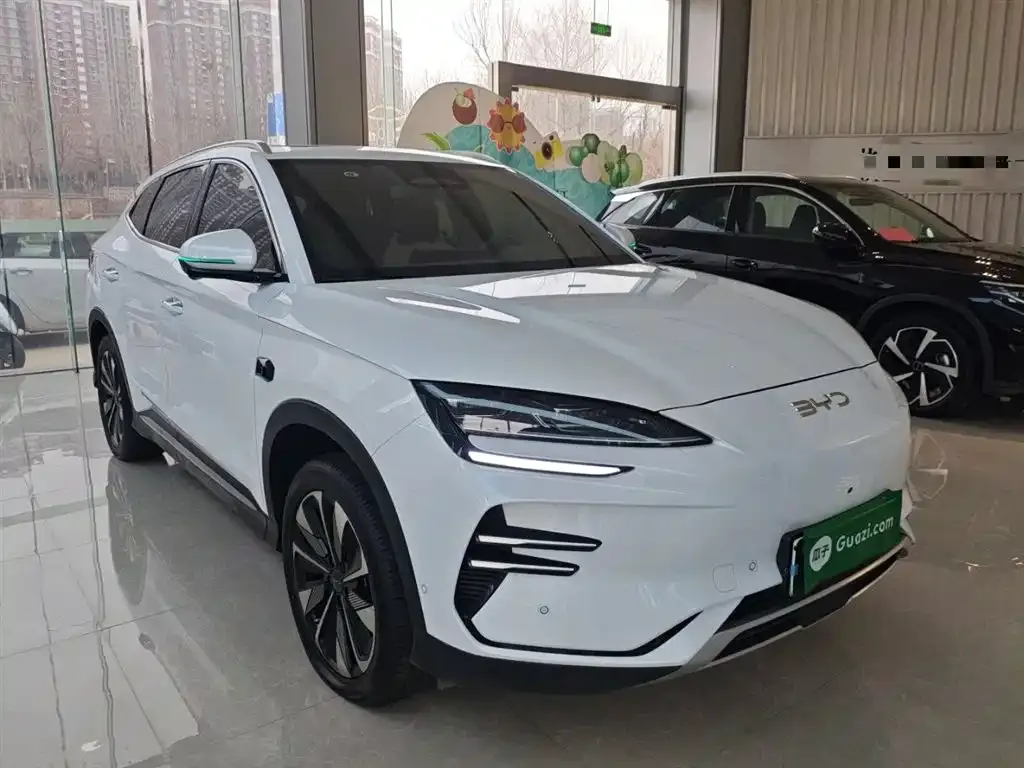 BYD PLUS New Energy 2025 из CN, фото 5