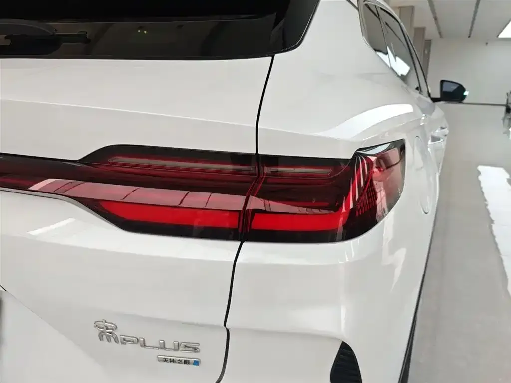 BYD PLUS New Energy 2025 из CN, фото 3