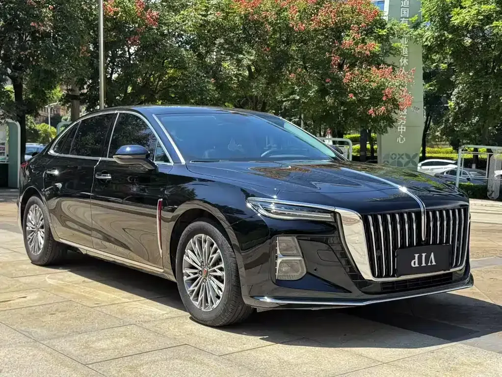 Hongqi H5 2023 из CN, фото 3