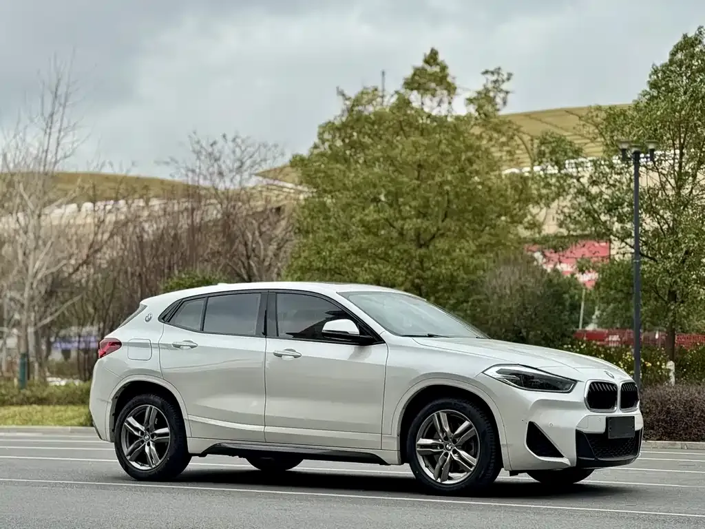 BMW X2 2021 из CN, фото 6