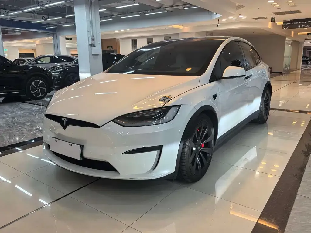 Tesla Model X 2023 из CN, фото 1