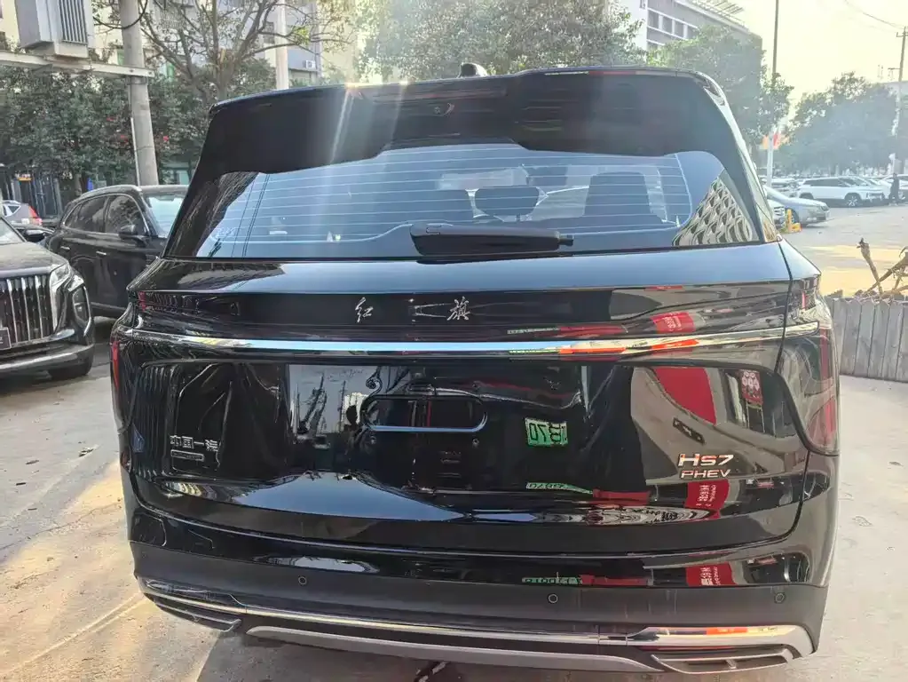 Hongqi HS7 PHEV 2024 из CN, фото 9