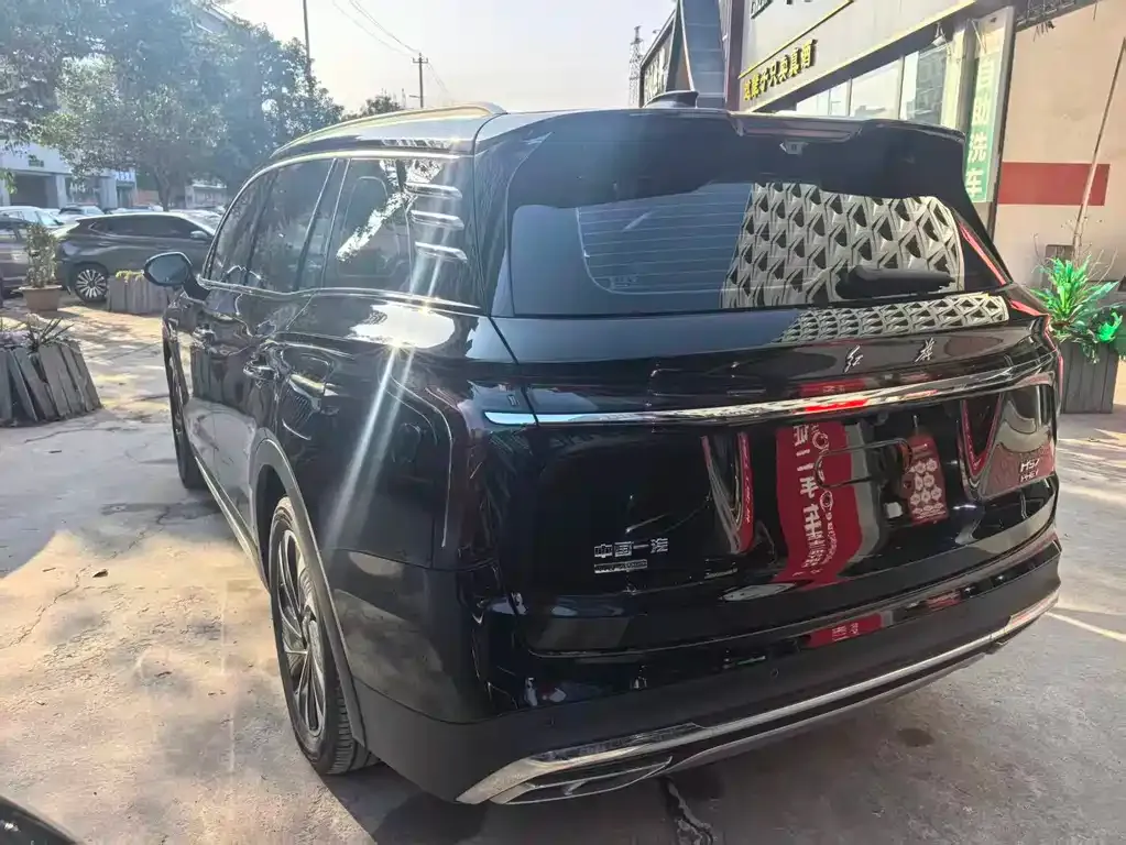 Hongqi HS7 PHEV 2024 из CN, фото 8