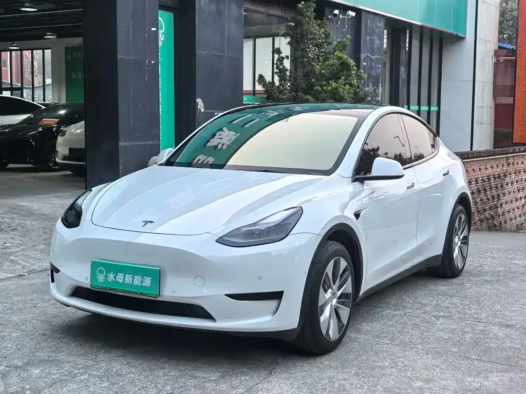 Tesla Model Y 2023 из CN, фото 1