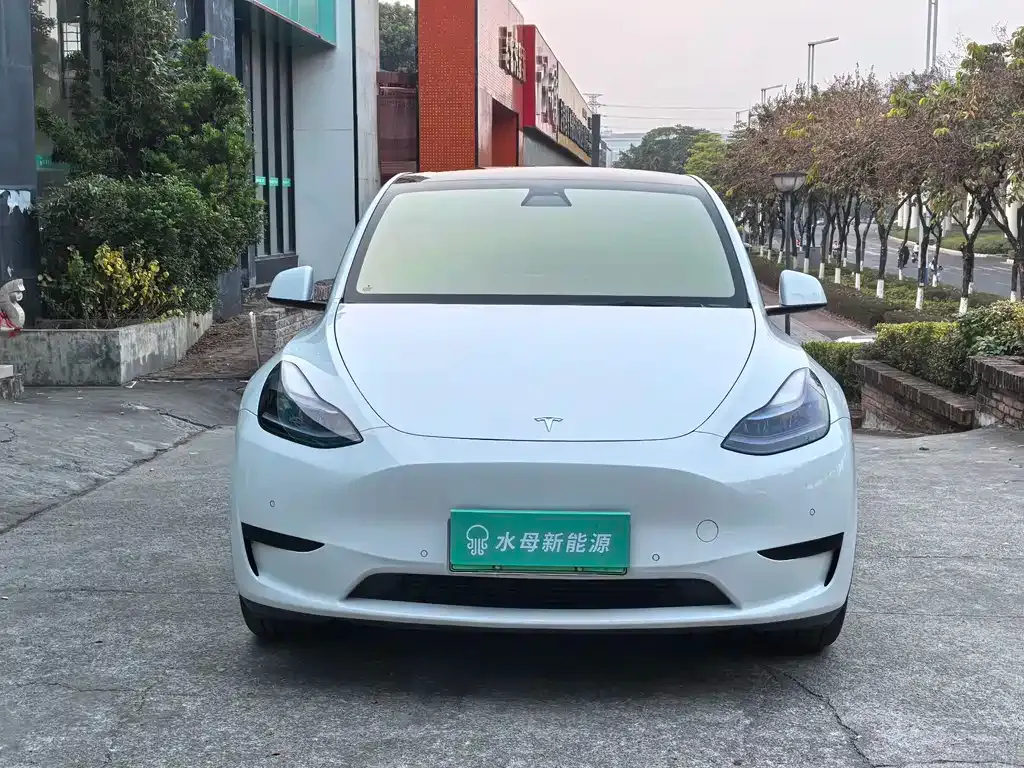 Tesla Model Y 2023 из CN, фото 10