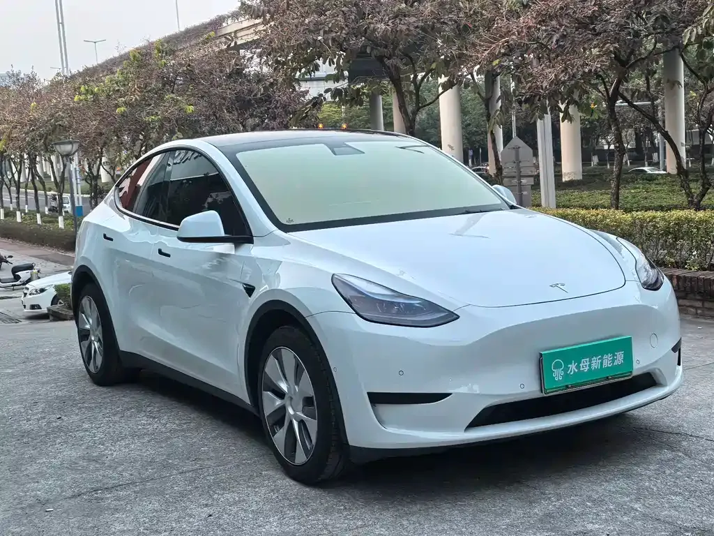 Tesla Model Y 2023 из CN, фото 9