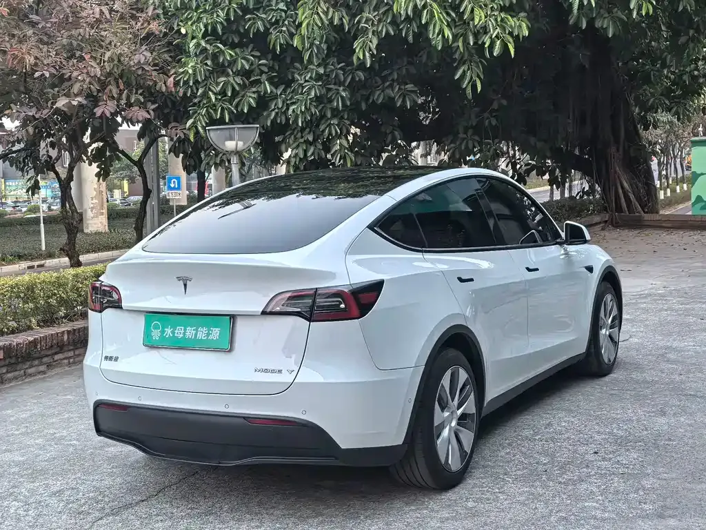 Tesla Model Y 2023 из CN, фото 8