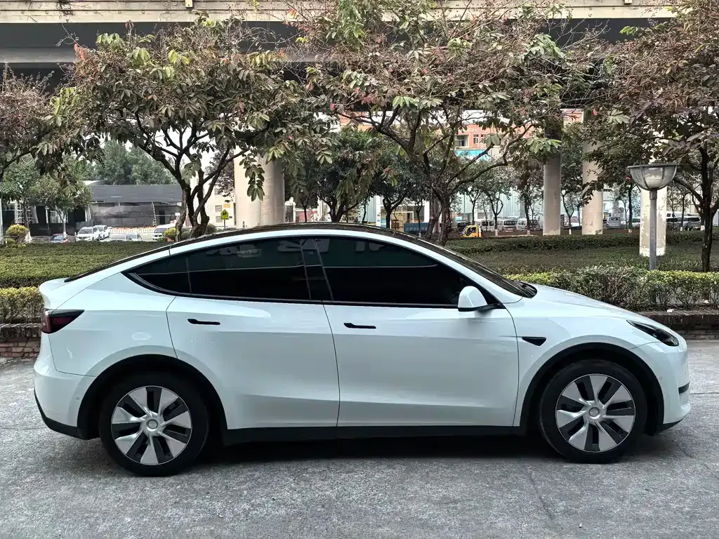 Tesla Model Y 2023 из CN, фото 3