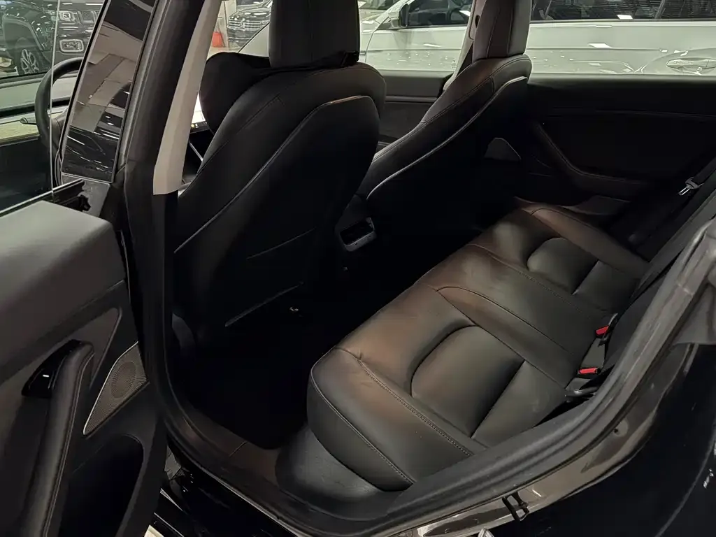 Tesla Model 3 2021 из CN, фото 6