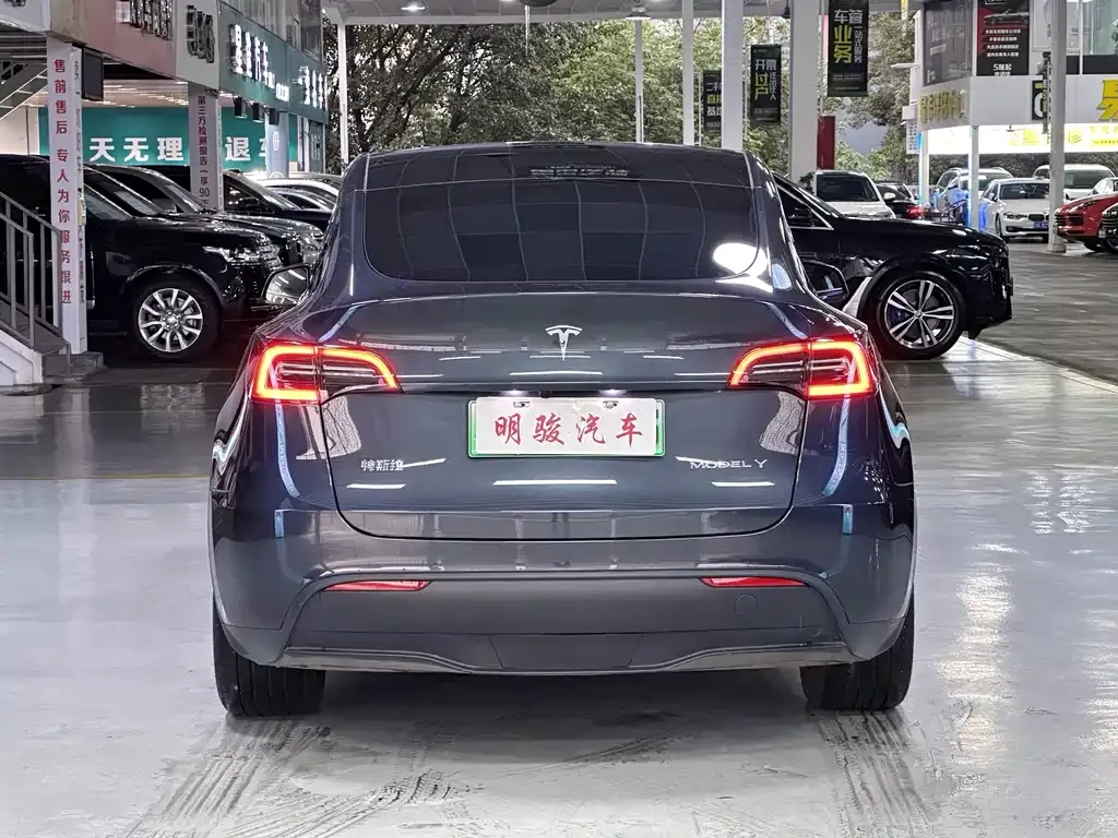 Tesla Model Y — фото 6