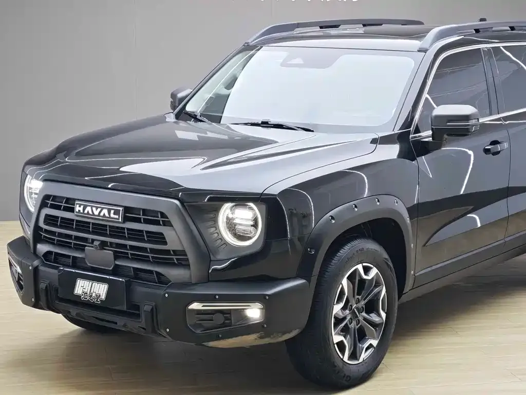 Haval Big Dog — фото 7