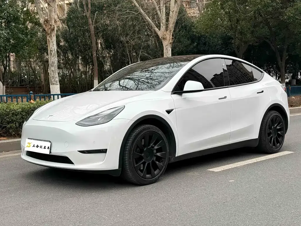 Tesla Model Y 2023 из CN, фото 1