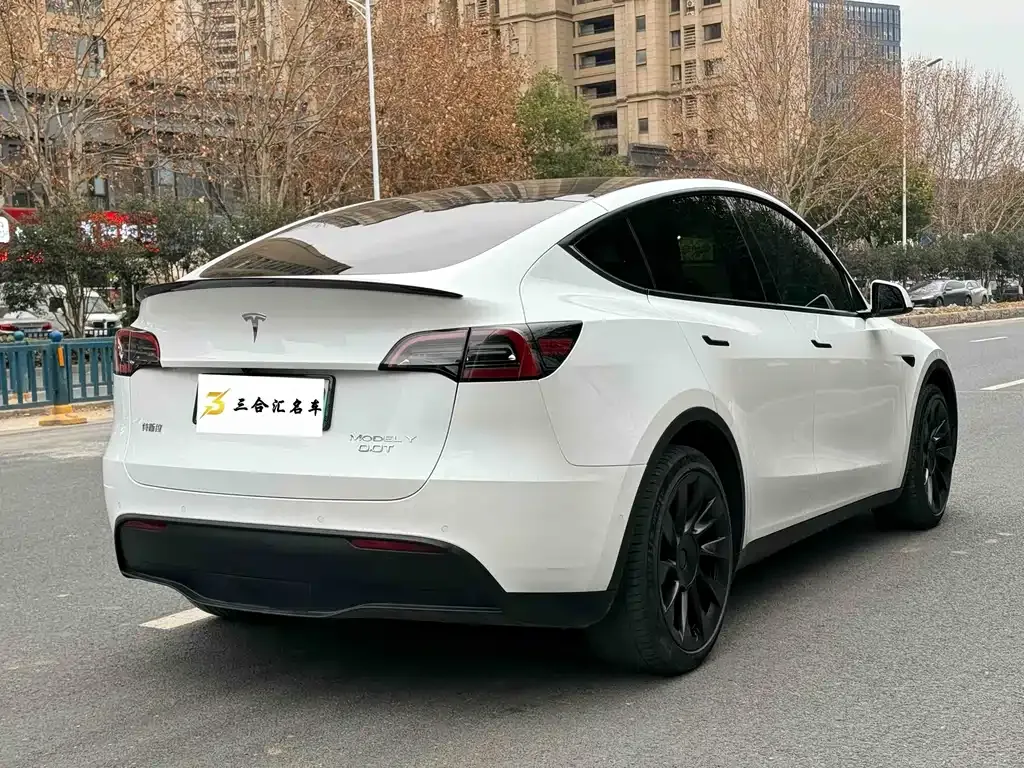 Tesla Model Y 2023 из CN, фото 7